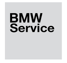 BMW Service Logo